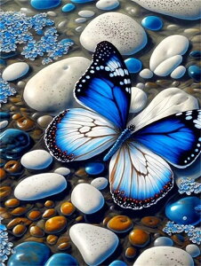 y10%OFFN[|zzz hJLbg 5D_ChA[g Lbg r[YhJ C l S _ChyCeBOCeA  nhCh NXXeb` _CA