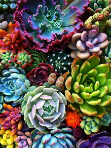 y10%OFFN[|zzz hJLbg 5D_ChA[g Lbg r[YhJ  S _ChyCeBOCeA  nhCh NXXeb` _CAh