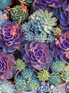 y10%OFFN[|zzz hJLbg 5D_ChA[g Lbg r[YhJ  S _ChyCeBOCeA  nhCh NXXeb` _CAh