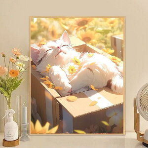  G lCIWifUC ̓ GhG t[t L 킢 L {gVbv l̓hG i hG 40x50cm G Mtg Ǐ G CeA 