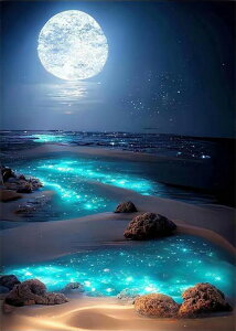  hJLbg 5D_ChA[g Lbg r[YhJ i  S 5D_Ch yCeBOCeA  nhCh NXXeb` _CAhA[g} ǃA