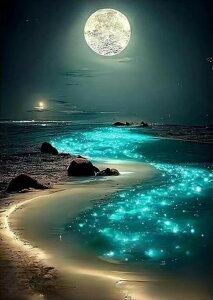  hJLbg 5D_ChA[g Lbg r[YhJ i  S 5D_Ch yCeBOCeA  nhCh NXXeb` _CAhA[g} ǃA