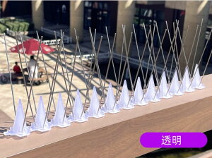 y21-31IN[|p15%OFFz x_ 悯ObY 悯V[g  L悯 Q΍ Nh~  x_  ̂Ђ    ΍ h  gQ 