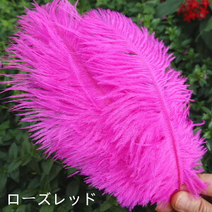 y10%OFFN[|zzzI[Xgb` 30{15-20cm _`EH𗘗p}{[ƃ{A DIY H H }{[ Xe[Wߑ H tFU[ }{[ V[ | i`f A