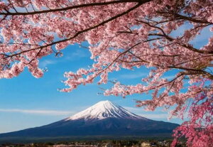 y10%OFFN[|zzz hJLbg 5D_ChA[g Lbg r[YhJ i xmR S _ChyCeBOCeA  nhCh NXXeb` _C