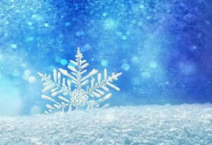 y10%OFFN[|zzz hJLbg 5D _ChA[g Lbg r[YhJ i 䂫̉ S _ChyCeBOCeA  Ǐ nhCh NXXe