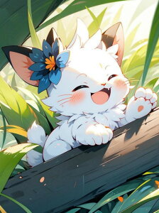 y10%OFFN[|zzz hJLbg 5D_ChA[g Lbg r[YhJ  L S _ChyCeBOCeA  nhCh NXXeb` _CA