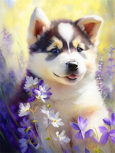 y10-16IN[|p15%OFFz r[YhJ hJLbg 5D _ChA[g   Lbg S _ChyCeBOCeA  nhCh NXXeb` 