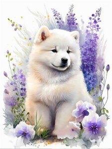 y10-16IN[|p15%OFFz r[YhJ hJLbg 5D _ChA[g   Lbg S _ChyCeBOCeA  nhCh NXXeb` 