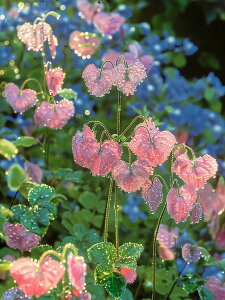 y10%OFFN[|zzz hJLbg 5D _ChA[g Lbg r[YhJ  S _ChyCeBOCeA  nhCh NXXeb` _CAh