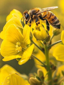 y10%OFFN[|zzz hJLbg 5D _ChA[g Lbg r[YhJ  S _ChyCeBOCeA  nhCh NXXeb` _CAh