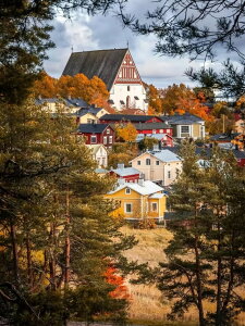 y24-31I16%OFFN[|zzz hJLbg 5D_ChA[g Lbg r[YhJ i S 5D_Ch yCeBOCeA  nhCh NXXeb` _