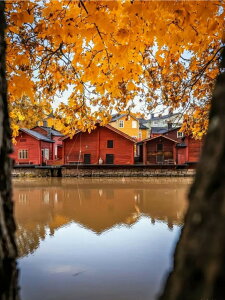 y10%OFFN[|zzz hJLbg 5D_ChA[g Lbg r[YhJ i S 5D_Ch yCeBOCeA  nhCh NXXeb` _CA