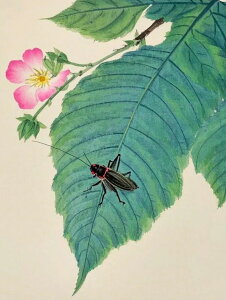 yN[|p10%OFFz hJLbg 5D_ChA[g Lbg r[YhJ i RIM S 5D_Ch yCeBOCeA  nhCh NXXeb` 