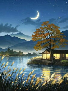 y10%OFFN[|zzz hJLbg 5D_ChA[g Lbg r[YhJ i ̕i S 5D_Ch yCeBOCeA  nhCh NXXeb`