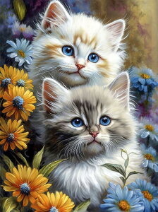 y10%OFFN[|zzzhJLbg 5D_ChA[g Lbg r[YhJ L S _ChyCeBOCeA  nhCh NXXeb` _CAhA[g}