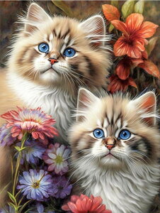 y10%OFFN[|zzzhJLbg 5D_ChA[g Lbg r[YhJ L S _ChyCeBOCeA  nhCh NXXeb` _CAhA[g}