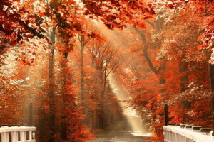 y10%OFFN[|zzz hJLbg H̕i 5D _ChA[g Lbg r[YhJ t _ChyCeBOCeA  nhCh NXXeb` _CA