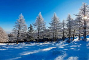 y10%OFFN[|zzz hJLbg 5D i ~̐ _ChA[g Lbg r[YhJ t _ChyCeBOCeA  nhCh NXXeb` _CA