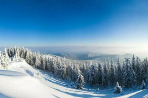 y10%OFFN[|zzz hJLbg 5D i ~̐ _ChA[g Lbg r[YhJ t _ChyCeBOCeA  nhCh NXXeb` _CA