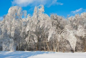 y10%OFFN[|zzz hJLbg 5D i ~̐ _ChA[g Lbg r[YhJ t _ChyCeBOCeA  nhCh NXXeb` _CA