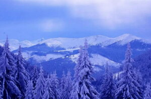 y10%OFFN[|zzz hJLbg 5D i ~̐ _ChA[g Lbg r[YhJ t _ChyCeBOCeA  nhCh NXXeb` _CA