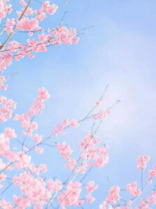 y10%OFFN[|zzz  hJLbg 5D_ChA[g Lbg r[YhJ i  S 5D_Ch yCeBOCeA  nhCh NXXeb` _