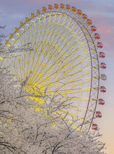 y10%OFFN[|zzz  hJLbg 5D_ChA[g Lbg r[YhJ i  S 5D_Ch yCeBOCeA  nhCh NXXeb` _