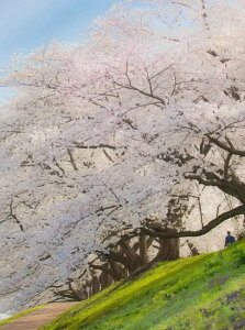 y10%OFFN[|zzz  hJLbg 5D_ChA[g Lbg r[YhJ i  S 5D_Ch yCeBOCeA  nhCh NXXeb` _