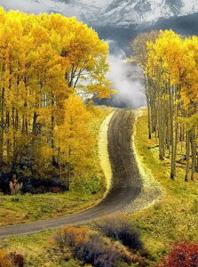 y10%OFFN[|zzz  hJLbg 5D_ChA[g Lbg r[YhJ i S 5D_Ch yCeBOCeA  nhCh NXXeb` _CA