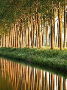 y10%OFFN[|zzz  hJLbg 5D_ChA[g Lbg r[YhJ i S 5D_Ch yCeBOCeA  nhCh NXXeb` _CA