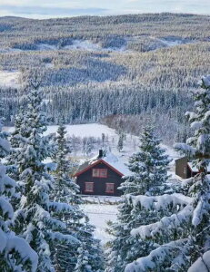 y10%OFFN[|zzz  hJLbg 5D_ChA[g Lbg r[YhJ i S 5D_Ch yCeBOCeA  nhCh NXXeb` _CA