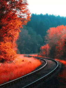 y10%OFFN[|zzz  hJLbg 5D_ChA[g Lbg r[YhJ i S 5D_Ch yCeBOCeA  nhCh NXXeb` _CA