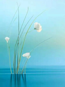 y10%OFFN[|zzz hJLbg 5D_ChA[g Lbg r[YhJ i S 5D_Ch yCeBOCeA nhCh NXXeb` _CAhA