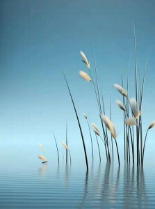 y10%OFFN[|zzz hJLbg 5D_ChA[g Lbg r[YhJ i S 5D_Ch yCeBOCeA nhCh NXXeb` _CAhA