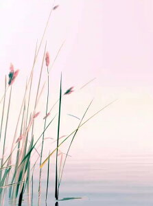 y10%OFFN[|zzz hJLbg 5D_ChA[g Lbg r[YhJ i S 5D_Ch yCeBOCeA nhCh NXXeb` _CAhA