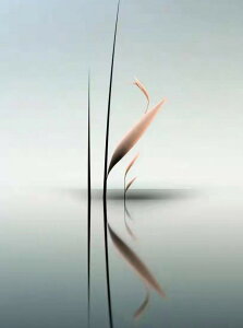 y10%OFFN[|zzz hJLbg 5D_ChA[g Lbg r[YhJ i S 5D_Ch yCeBOCeA nhCh NXXeb` _CAhA