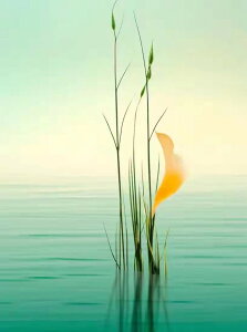 y10%OFFN[|zzz hJLbg 5D_ChA[g Lbg r[YhJ i S 5D_Ch yCeBOCeA nhCh NXXeb` _CAhA