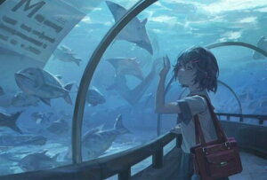 y10%OFFN[|zzz hJLbg 5D _ChA[g Lbg r[YhJ  C̐E S _ChyCeBOCeA  nhCh NXXeb` 