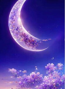 y10%OFFN[|zzz hJLbg 5D_ChA[g Lbg r[YhJ i  S _ChyCeBOCeA  nhCh NXXeb` _CA