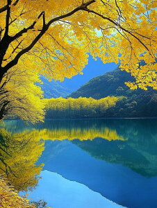 y10%OFFN[|zzz hJLbg 5D_ChA[g Lbg r[YhJ i S 5D_Ch yCeBOCeA nhCh NXXeb` _CAhA