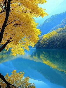 y10%OFFN[|zzz hJLbg 5D_ChA[g Lbg r[YhJ i S 5D_Ch yCeBOCeA nhCh NXXeb` _CAhA