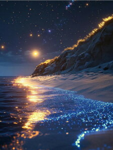 yN[|p10%OFFz hJLbg 5D_ChA[g Lbg r[YhJ i S 5D_Ch yCeBOCeA nhCh NXXeb` _CAhA