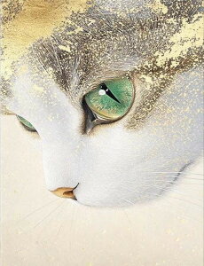 y10%OFFN[|zzz hJLbg 5D _ChA[g Lbg r[YhJ ˂ S _ChyCeBOCeA  nhCh NXXeb` _CA