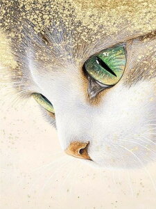 y10%OFFN[|zzz hJLbg 5D _ChA[g Lbg r[YhJ ˂ S _ChyCeBOCeA  nhCh NXXeb` _CA