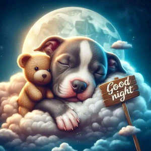 yN[|p10%OFFz hJLbg 5D _ChA[g r[YhJ 킢  S _ChyCeBOCeA  nhCh NXXeb` _CA