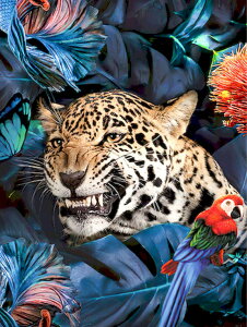 y10%OFFN[|zzz hJLbg 5D_ChA[g Lbg r[YhJ  S 5D_Ch yCe  nhCh NXXeb` _CAhA[g} 