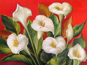 y10%OFFN[|zzz hJLbg 5D  _ChA[g Lbg r[YhJ t _ChyCeBOCeA  nhCh NXXeb` _CA