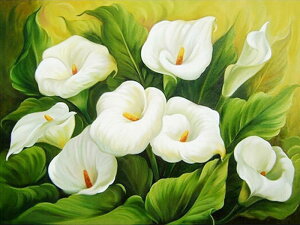 y10%OFFN[|zzz hJLbg 5D  _ChA[g Lbg r[YhJ t _ChyCeBOCeA  nhCh NXXeb` _CA