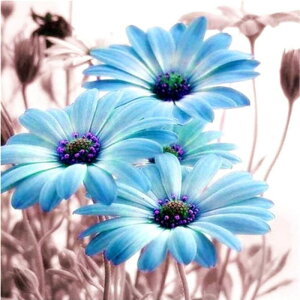 y10%OFFN[|zzz hJLbg 5D  _ChA[g Lbg r[YhJ t _ChyCeBOCeA  nhCh NXXeb` _CAhA